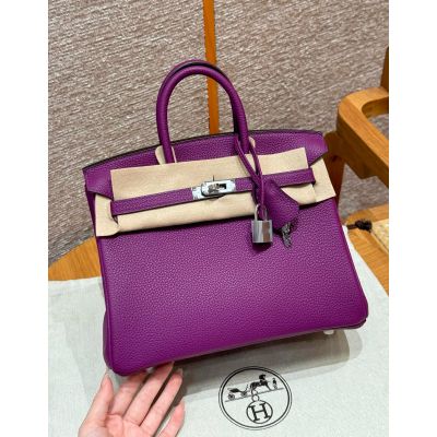 Anemone Togo Birkin 25 Palladium Hardware