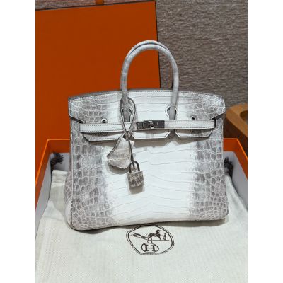 Himalaya Niloticus Crocodile Birkin 30 Palladium Hardware