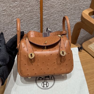 Gold Ostrich Mini Lindy 20 Gold Hardware