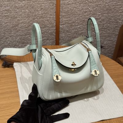 Vert Fizz Swift and Matte Matte Alligator Mini Lindy 20 Gold Hardware